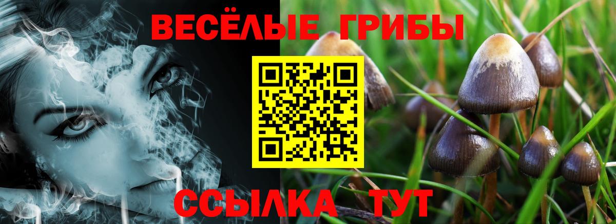 Кольчугино  наркотики  Галлюциногенные грибы Psilocybe  Вход с VPN  Псилоцибиновые грибы мухоморы 