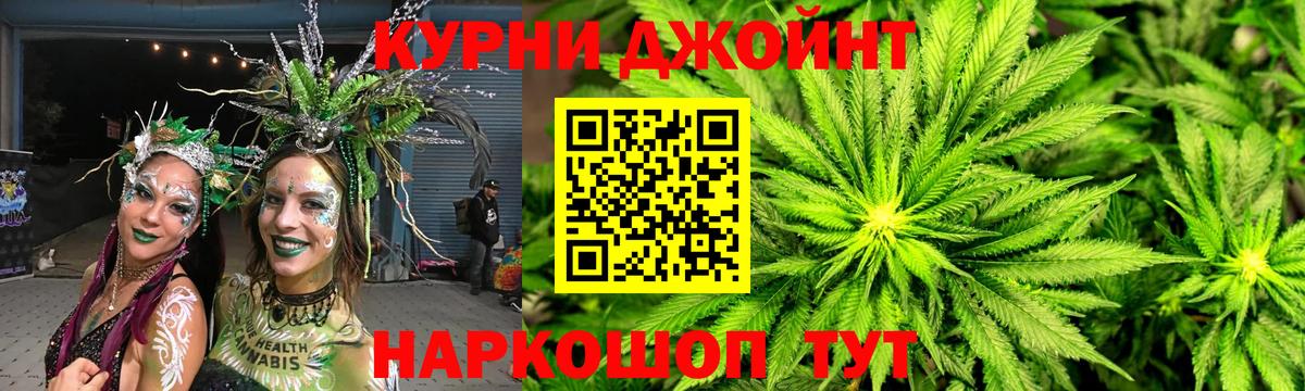 Каннабис сатива Кольчугино